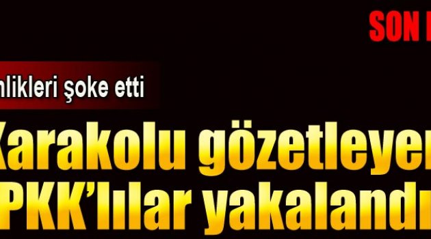 Emniyeti gözetlerken yakalandılar!