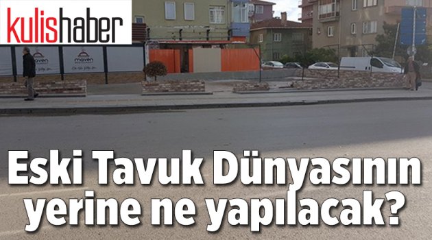 Eski Tavuk Dünyasının yerine ne yapılacak?