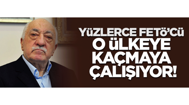 FETÖ'cüler Almanya'ya sığınmaya çalışıyor