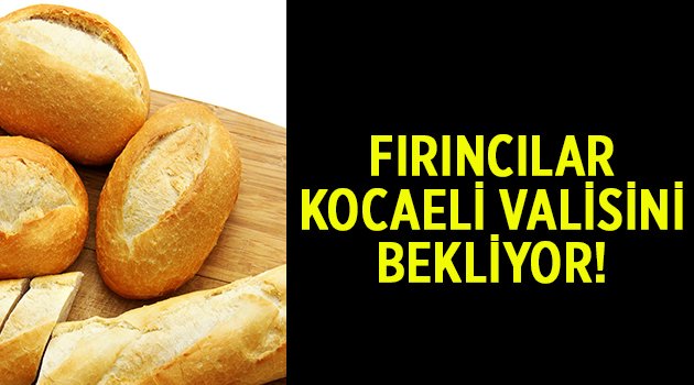 Fırıncılar, Valiyi bekliyor