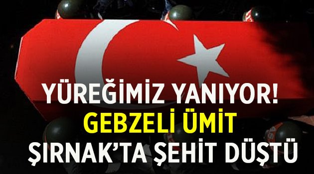 Gebzeli Ümit Şırnak'ta şehit düştü!