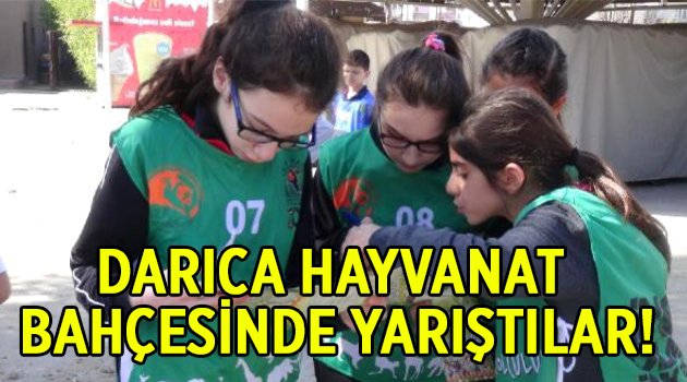 Hayvanat Bahçesinde Oryantiring Yarışı