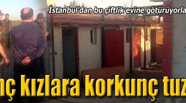 IŞİD’e eleman temin eden şahıs yakalandı