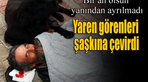 Köpeği 'Yaren' bir an olsun yanından ayrılmıyor