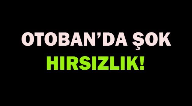 Otoban'da ŞOK hırsızlık!