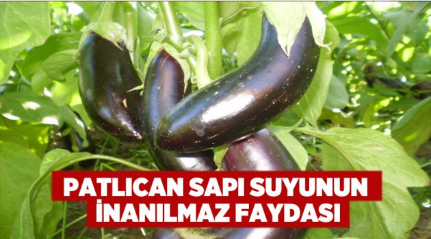 Patlıcan sapı suyunun inanılmaz faydası