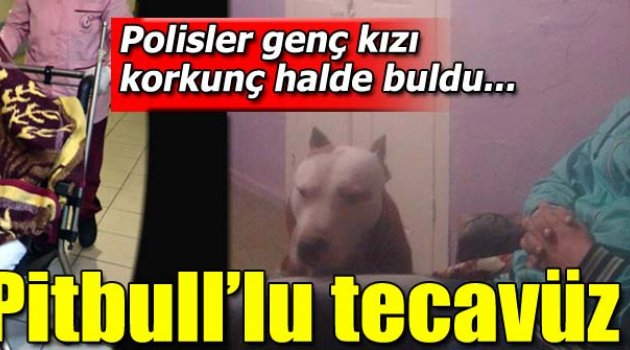 Pitbull'la korkuttuğu kız arkadaşına cinsel saldırıdan tutuklandı