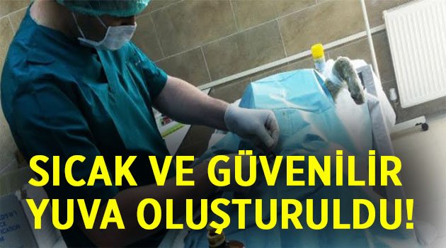 Sıcak ve güvenilir yuva oluşturuldu!