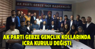 AK Parti Gebze Gençlik Kollarında İcra Kurulu değişti