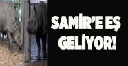 Samir'e eş geliyor!