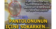 Çaldığı balığı pantolonun içine sakladı