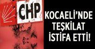 CHP Kandıra İlçe Örgütü istifa etti