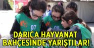 Hayvanat Bahçesinde Oryantiring Yarışı