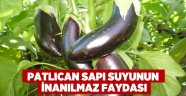 Patlıcan sapı suyunun inanılmaz faydası