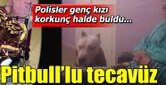 Pitbull'la korkuttuğu kız arkadaşına cinsel saldırıdan tutuklandı