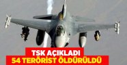 TSK açıkladı: 54 terörist öldürüldü