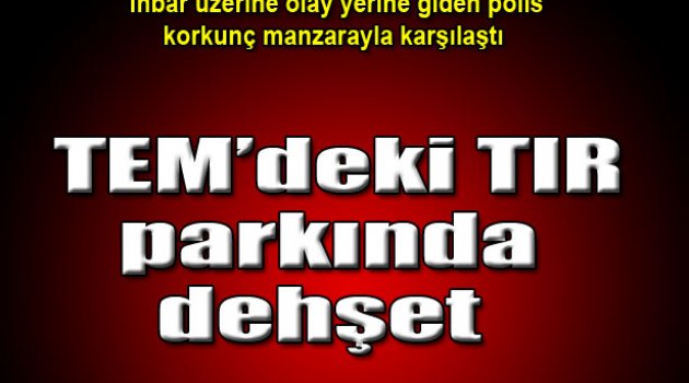 TEM'deki TIR parkında 2 ceset bulundu