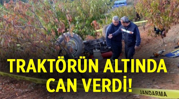 Traktörün altında can verdi!