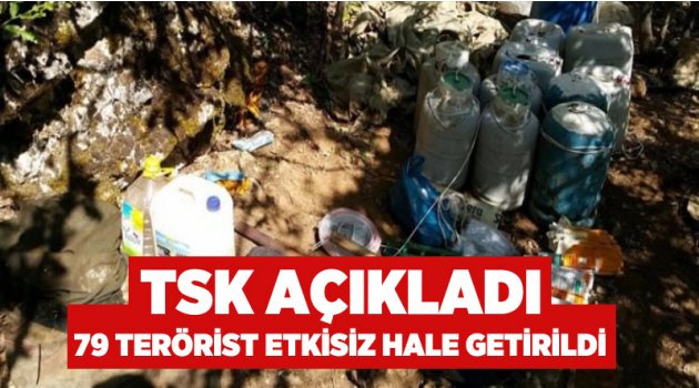 TSK açıkladı: 79 terörist etkisiz hale getirildi