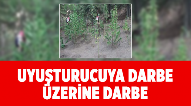 Uyuşturucuya darbe üzerine darbe