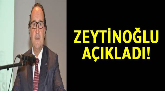 Zeytinoğlu: Üretim artışı, bu yıl büyümeyi daha çok uyaracak